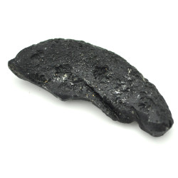 Tectite Nantan 1PC (1)