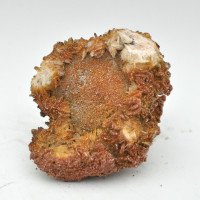 Barite / Vanadinite 1PC (10) Barite / Vanadinite 1PC (10)