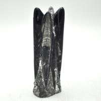 Orthoceras tower 1PC Orthoceras tower 1PC