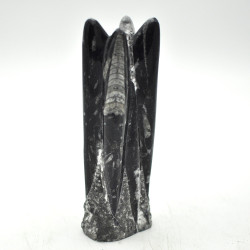 Orthoceras tower 1PC Orthoceras tower 1PC