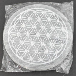 Selenite disk 14cm 1PC Selenite disk 14cm 1PC