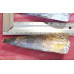 Spinosaurus teeth 1TRAY (1)