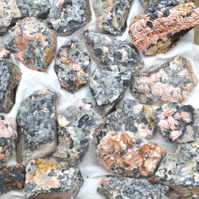 Cerusite / Barite / Galenite clusters 1TRAY