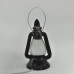 Orthoceras/Selenite lamp 1PC