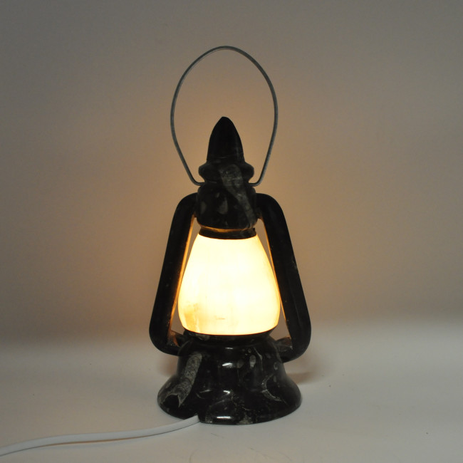 Orthoceras/Selenite lamp 1PC