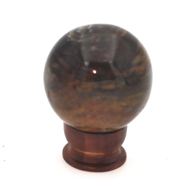 Petrified wood sphere 1PC (11)