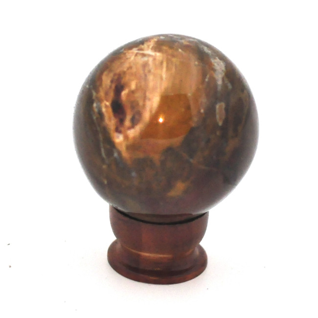 Petrified wood sphere 1PC (12)