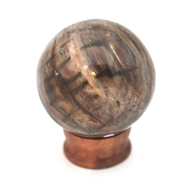Petrified wood sphere 1PC (2)
