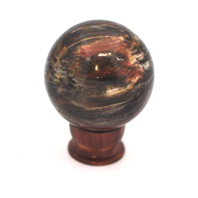 Petrified wood sphere 1PC (6)