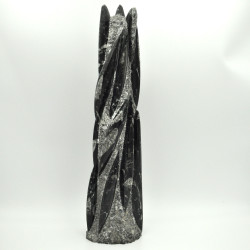 Orthoceras tower XL 1PC (1)