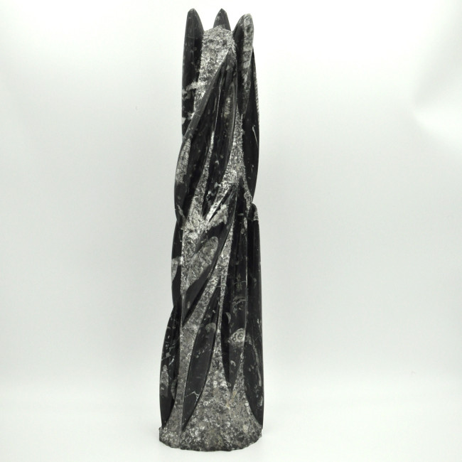 Orthoceras tower XL 1PC (1)