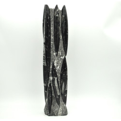 Orthoceras tower XL 1PC (2)