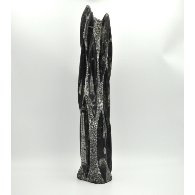Orthoceras tower XL 1PC (3)