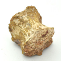 Spinosaurus vertebrae 1PC (4)