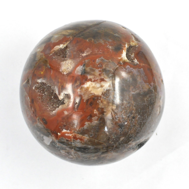 Petrified wood sphere 1PC (1)