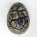 Wild Septarian dragon egg XL 1ST (1)