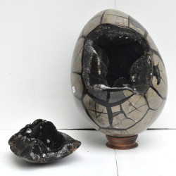 Wild Septarian dragon egg XL 1ST (2)