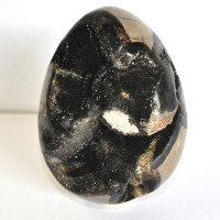 Wild Septarian dragon egg 1ST (9)
