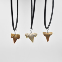 Shark tooth pendant 2cm