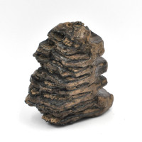 Wooly Mammoth tooth (3)