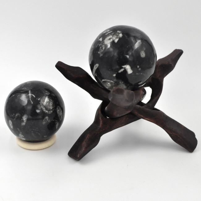 Orthoceras sphere 4-6cm