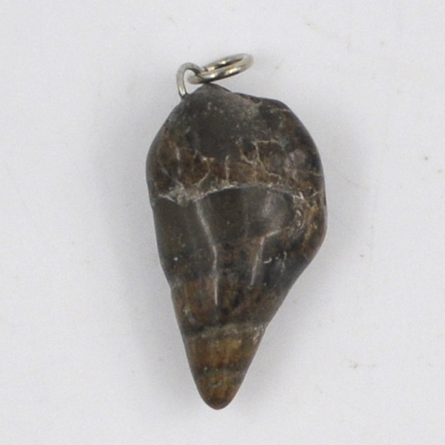 Snail fossil pendant 1PC