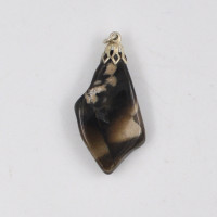 Petrified wood pendant 1PC