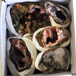 Chalcedony pink 1BOX (4)