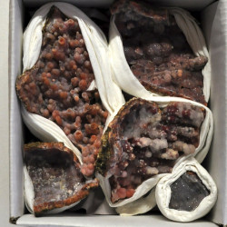 Chalcedony pink 1BOX (5)