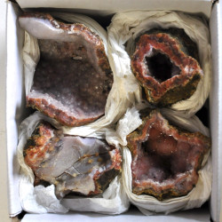 Chalcedony pink 1BOX (7)