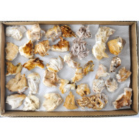 Barite clusters 1TRAY