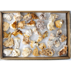 Barite clusters 1TRAY