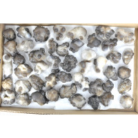 Chalcedony grey clusters 1TRAY