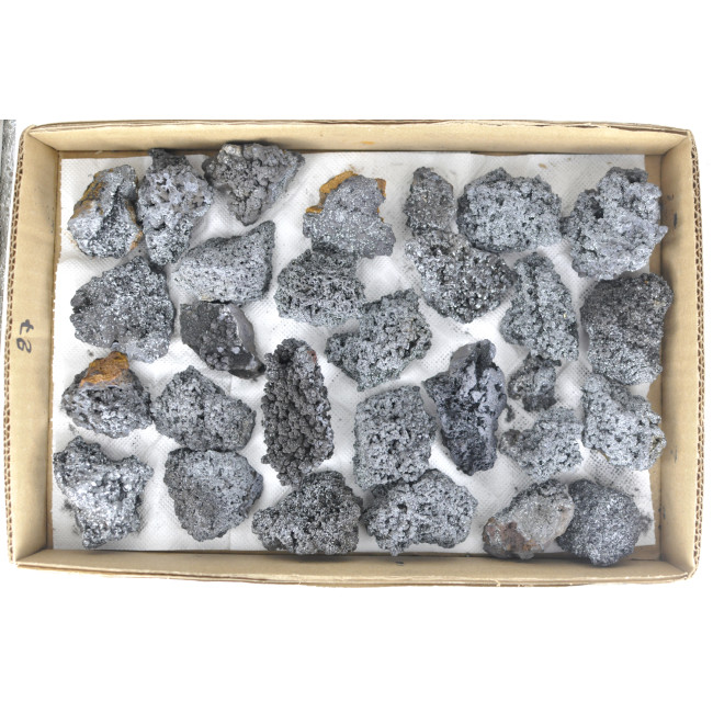 Manganese clusters 1TRAY