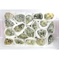 Prehnite clusters A 1TRAY