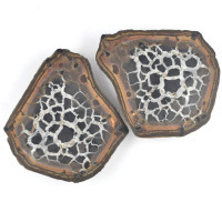 Septarian nodule L 1PC