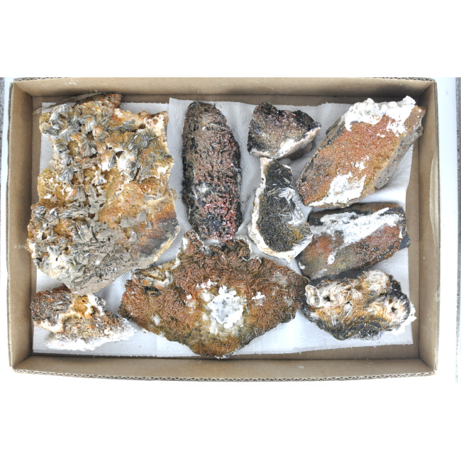 Vanadinite / Barite / Manganese / Calcite clusters 1TRAY