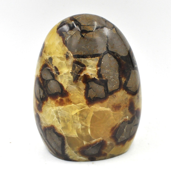 Septarian Quartz freeform 1PC (12)