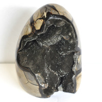Wild Septarian geode 1ST (28) Wild Septarian geode 1ST (28)