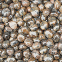 Chiastolite tumbled stones (L) 100GR