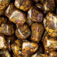 Jasper Ajooba tumbled stones (XL) 250GR