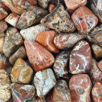 Jasper Brecciated tumbled stones (XXL) 250GR