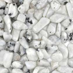 Moonstone white tumbled stones (M) 100GR